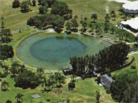 Warm Mineral Springs